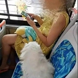 女子带狗坐车不让座