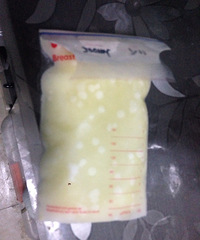 ����ĸ��������������״�׵�