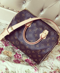 ������LV speedy25���м���Ļ����޼���ģ�