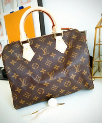 ������LV speedy25���м���Ļ����޼���ģ�
