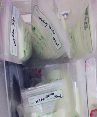 ĸ�������