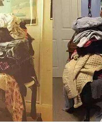 ���ӷž��˻᳤���·��������ҿ϶�����һ���ˣ���