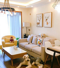 ��ҵ3�꣬�����Լ���66ƽС����