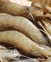 ൺκҰϺţ86Ԫ2155Ԫ4˳˰