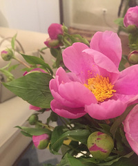 �����һ��õ�����Ǯ���ߴ��ϵĽ��ڿ�����õ�壬��ʱ����ߴ���