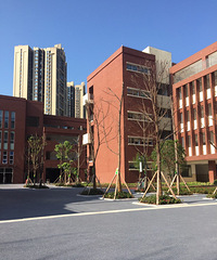 ����Сѧ��ѧ�ˣ�