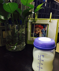 ���ص���ʱ����С��