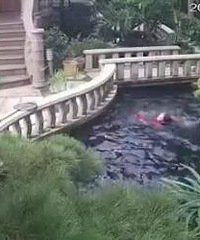 监控:保姆跌落雇主别墅鱼池溺亡