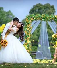 ����������⾰������ɹ������⾰�գ��������������