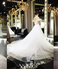 һ�ұ�Ӱ���������ǳ��ݵĻ�ɴ�꣬�ƺ�ɫ��β���Ʒ���ĳ��԰�