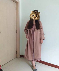 ��ͼ�����࣬��P���˾���11���������´�Ա�