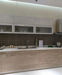 ����120ƽ��ɳ��ѧ���ɷ�������ˮ�˼�¼