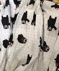 ������29������Ӽ�Ǯ���ˣ���ɫ�ÿ�������