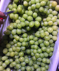 ҹ̽԰ˮгձƷֵѲ6Ԫһ