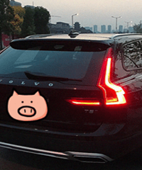 北欧风情小众车,沃尔沃V90CC提车记