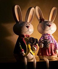 �ҵĻ�����ȫ����Щ������С����������ʵ���Լ۱ȳ���