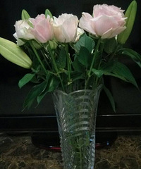 �������ʻ����������������ĺ���ò