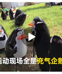 我羽绒服都穿了,你给我看这个