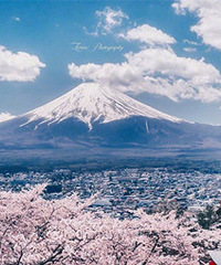 ����д����������Σ�����������Ʊ��������~