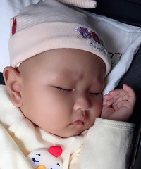 ��ð�˿���ι�̲���