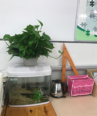 ��Ҷ���ɹɹ��İ칫�����ô�Ҳ²�����ʲô����