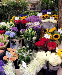 ����һЩ�ʻ�����С֪ʶ�����������ѡ�����ʵĻ�~