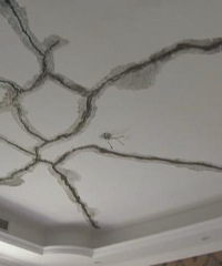 Ůס·컨©ˮ ̲ɡ֩