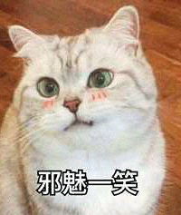 ����ǰŮ�ѻ�����ǿ������μӻ����㻹��������Щ�����£�