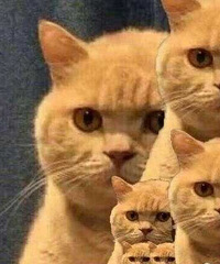 ����ǰŮ�ѻ�����ǿ������μӻ����㻹��������Щ�����£�