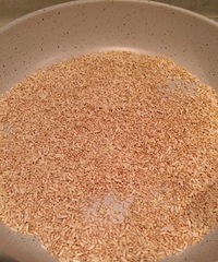 [Сƫ��]��������20�죬ȫ���������������ռǡ�