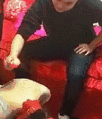 �������ϵ���������������������Щ���׻�����ԭ�ر�ը����