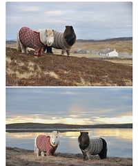 ����������ĳ������·����·�����������ʺϰ����ӵ��Ա���