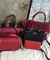 ��һ��������ܵİ��ӣ�����һЩƽʱ�̳�ר�������Ʒ��