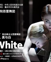 芭蕾舞剧《黑与白》免费观看