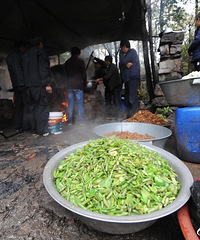 ũ��������� 5000Ԫ��300�˳Ժ������磬�ȾƵ�Եĺ�