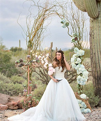 ����һ��ɳĮ����Ļ����������Ƴ�Ϊ�����������صĵ�׺