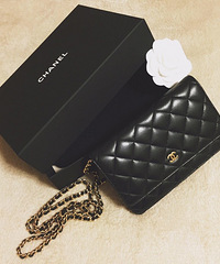 Ԥ㣬İĿҲӭӵеĽֲݰβ