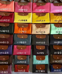 ���Ǿ���longchamp���Ӱ��ĸ���ɫ�ÿ���ֵ����ģ�