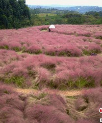 山ɫ󡱣ʮ㣡һʤص