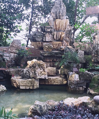 感觉我的花园被打理成了绿化带,不过依然很美