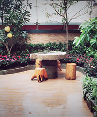 �о��ҵĻ�԰�����������̻�����������Ȼ����