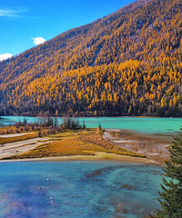 17죬һ๫˵߾ߣ½̤ѩѰ