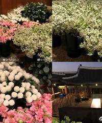 �λ������ٻ����񣬿�������˫��CP�Ļ����ֳ����ð�