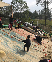 游松鼠部落,观看南湖公园世界极限比赛,住三圣乡幸福梅林民宿。