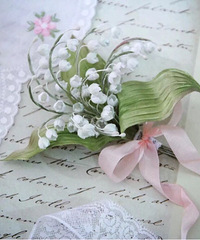 2018��������Ҫ������֪��ֽ���������ж�����