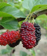 Ů˲ѪʲôƼ6ղѪƷǵղŶ