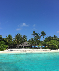 ���¾���Ҫһ���˸��������͵�ˮĸ�þ��ޣ�ˮĸ����Ǳˮ����