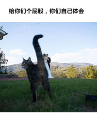 �ҵĻ�ɴ��������˲���֮�ͣ�����ι�����������հ���