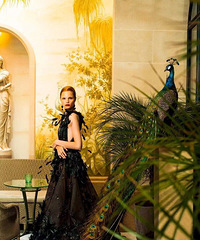 ����񻨵�ԩ��Ǯ���ж�����ʵ����ʡ�µģ�