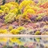 九寨沟震后第一个秋天